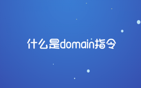 什么是domain指令?domain结果是网站的反链吗?