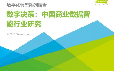数字决策：中国商业数据智能行业研究