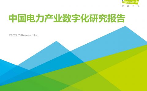 2022年中国电力产业数字化研究报告