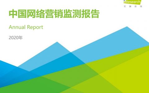 2020年中国网络营销监测报告